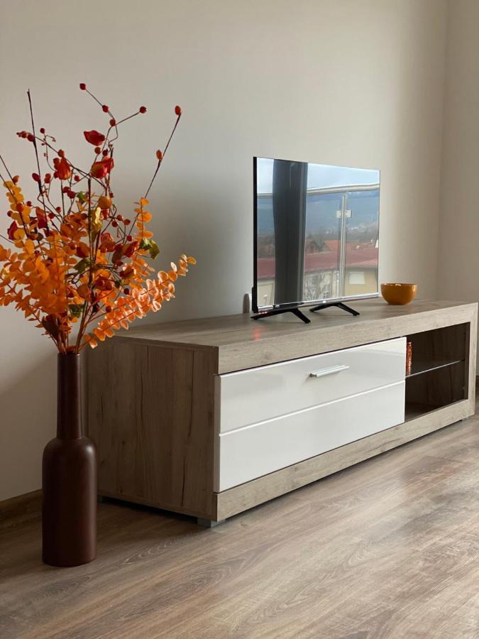 Apartmani Milic Banja Koviljaca Luaran gambar