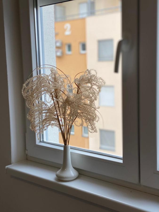 Apartmani Milic Banja Koviljaca Luaran gambar