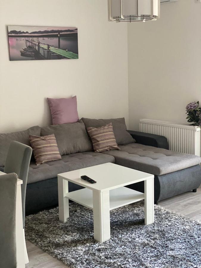 Apartmani Milic Banja Koviljaca Luaran gambar