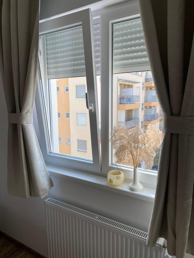 Apartmani Milic Banja Koviljaca Luaran gambar