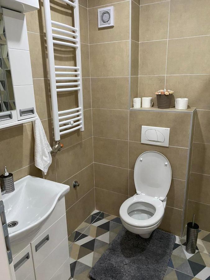 Apartmani Milic Banja Koviljaca Luaran gambar